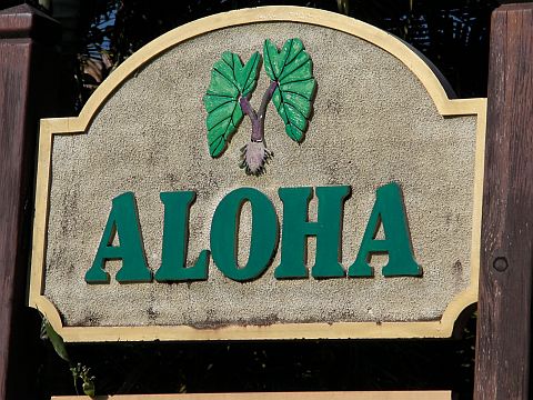 Aloha